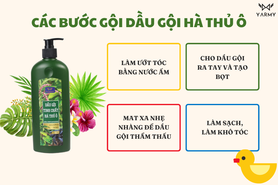 Quy trình từng bước gội hà thủ ô