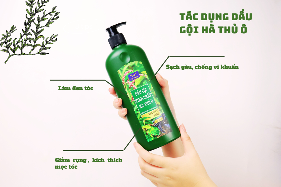 Tác dụng khi gọi đầu bằng dầu gội hà thủ ô