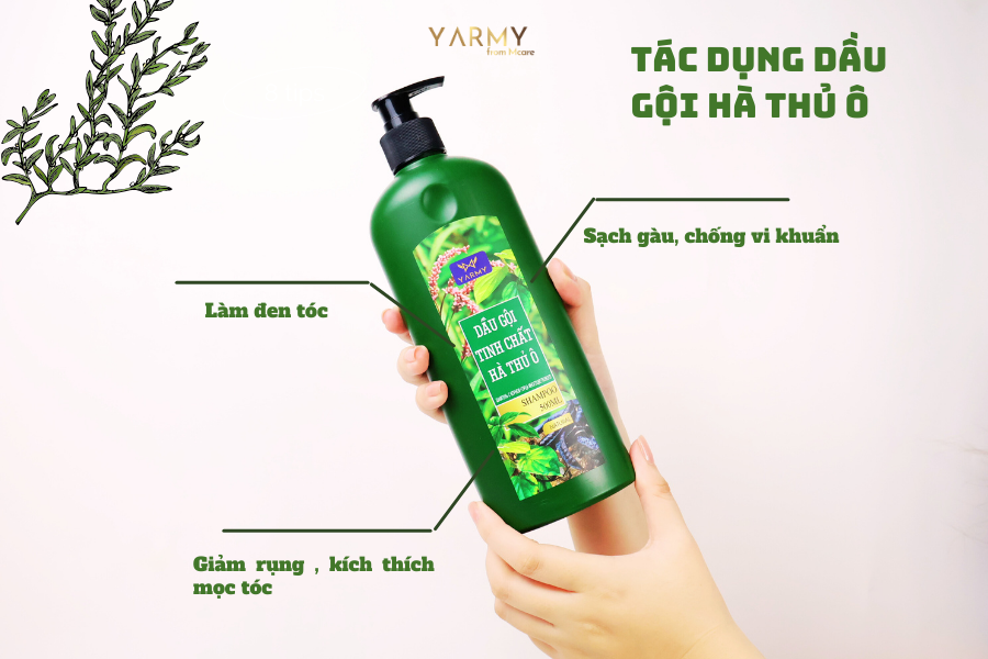 Công dụng của loại Dầu gội Hà Thủ Ô