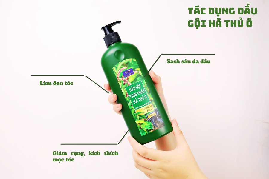 Lợi ích của dầu gội thủ ô